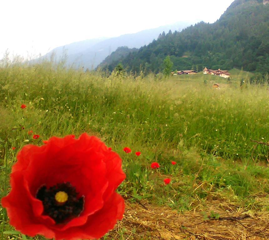 Breguzzo Agritur Cornasest Bed & Breakfast エクステリア 写真