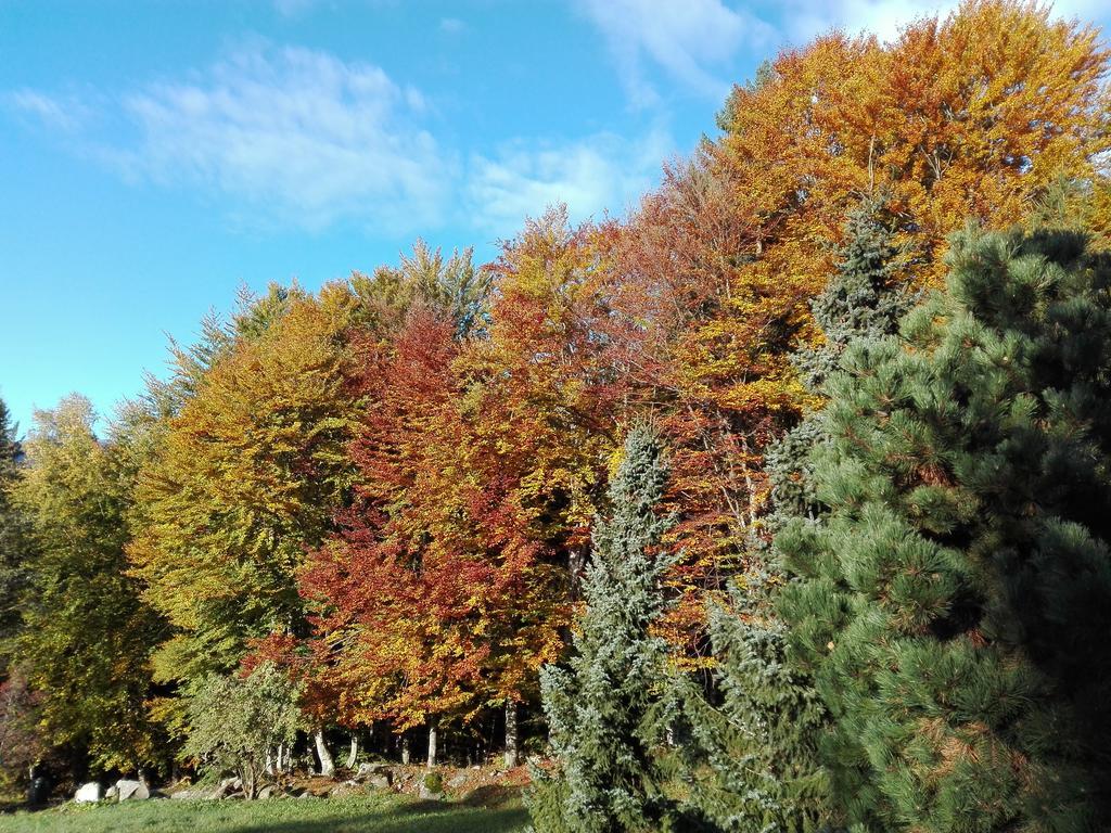 Breguzzo Agritur Cornasest Bed & Breakfast エクステリア 写真