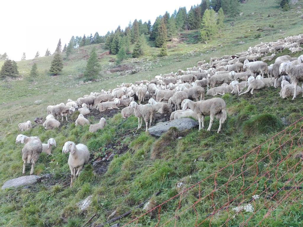 Breguzzo Agritur Cornasest Bed & Breakfast エクステリア 写真